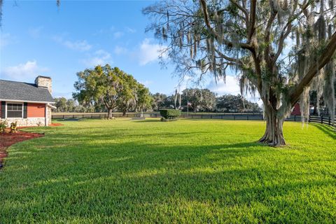 Tiny photo for 10880 NW 160th Avenue, Morriston, FL 32668 (MLS # OM716654)