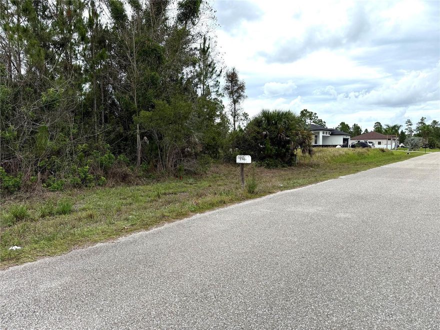 PERFECT HOMESITE ON A SPACIOUS HALF ACRE LOT. Build your dream home on this easy to clear lot at Jackson Avenue. Enjoy the serenity of this quiet neighborhood with many new and beautiful houses being built in the area. Enjoy country-style living away from the hustle and bustle of city life while remaining close to local schools, parks, shopping centers, restaurants and other amenities. No HOA. Conveniently located just a few minutes drive to downtown Lehigh Acres. Easy driving distance to Fort Myers and the Gulf Coast with easy access to SR-80.