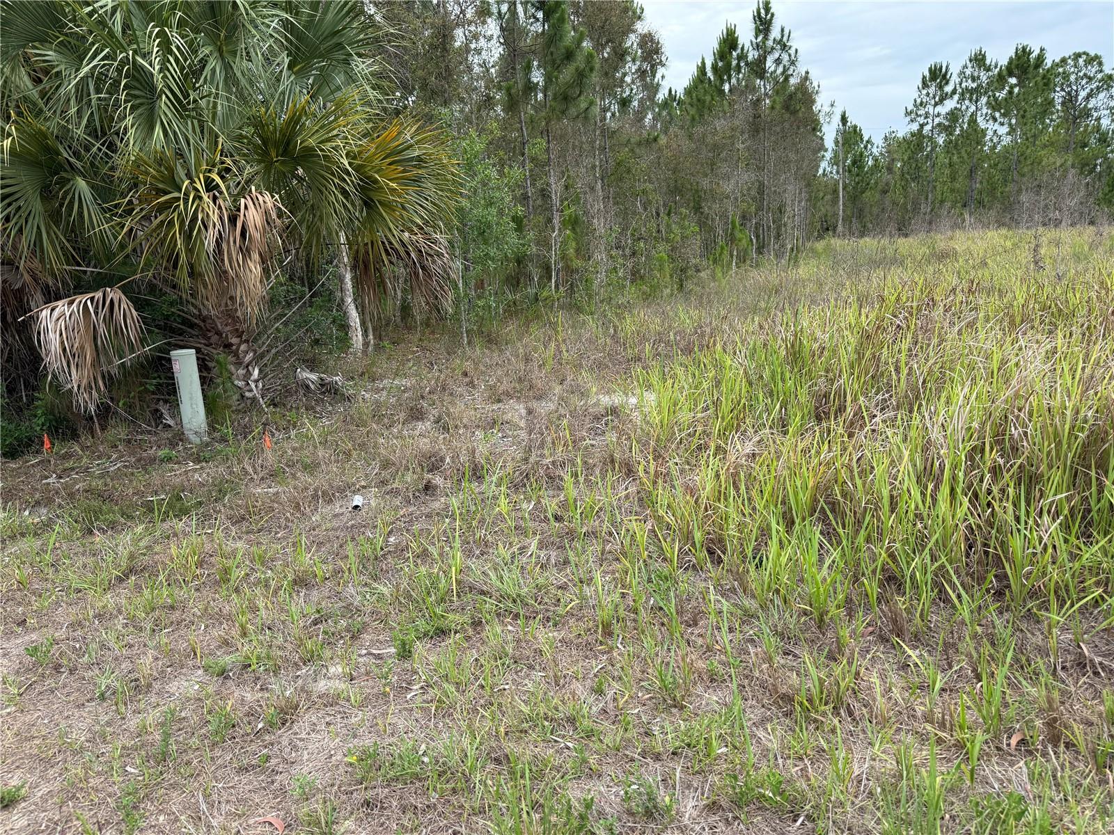 LEHIGH ACRES - Land