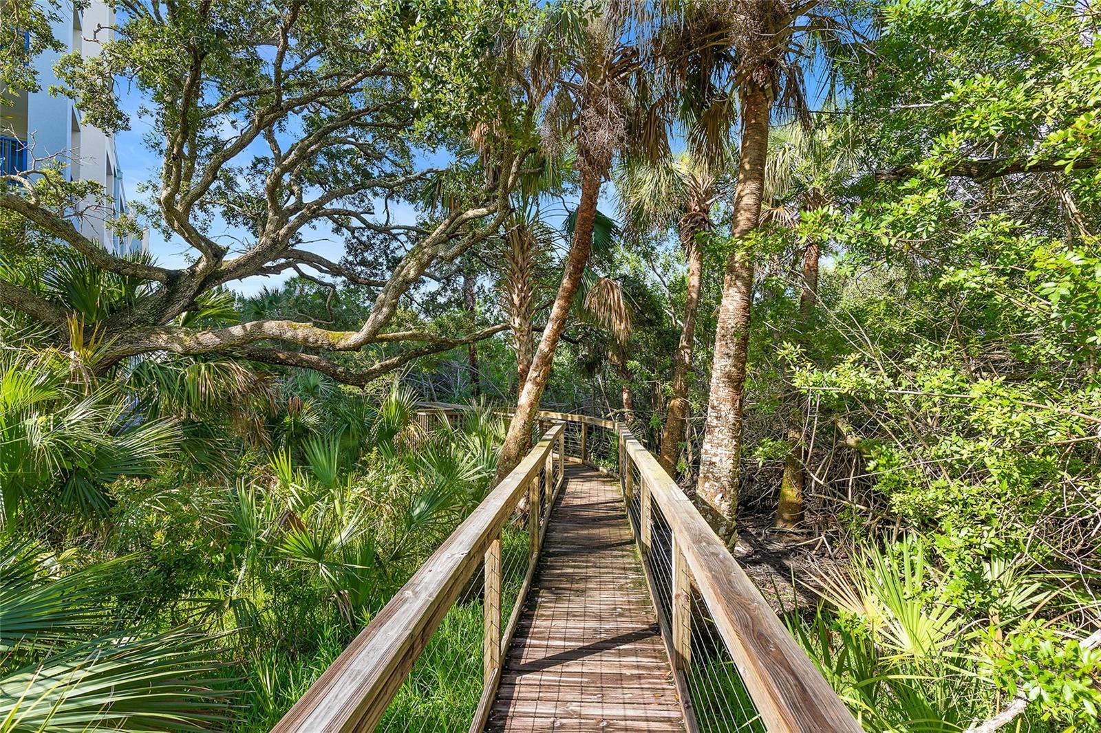 OCEAN WALK/NEW SMYRNA BCH PH I - Residential