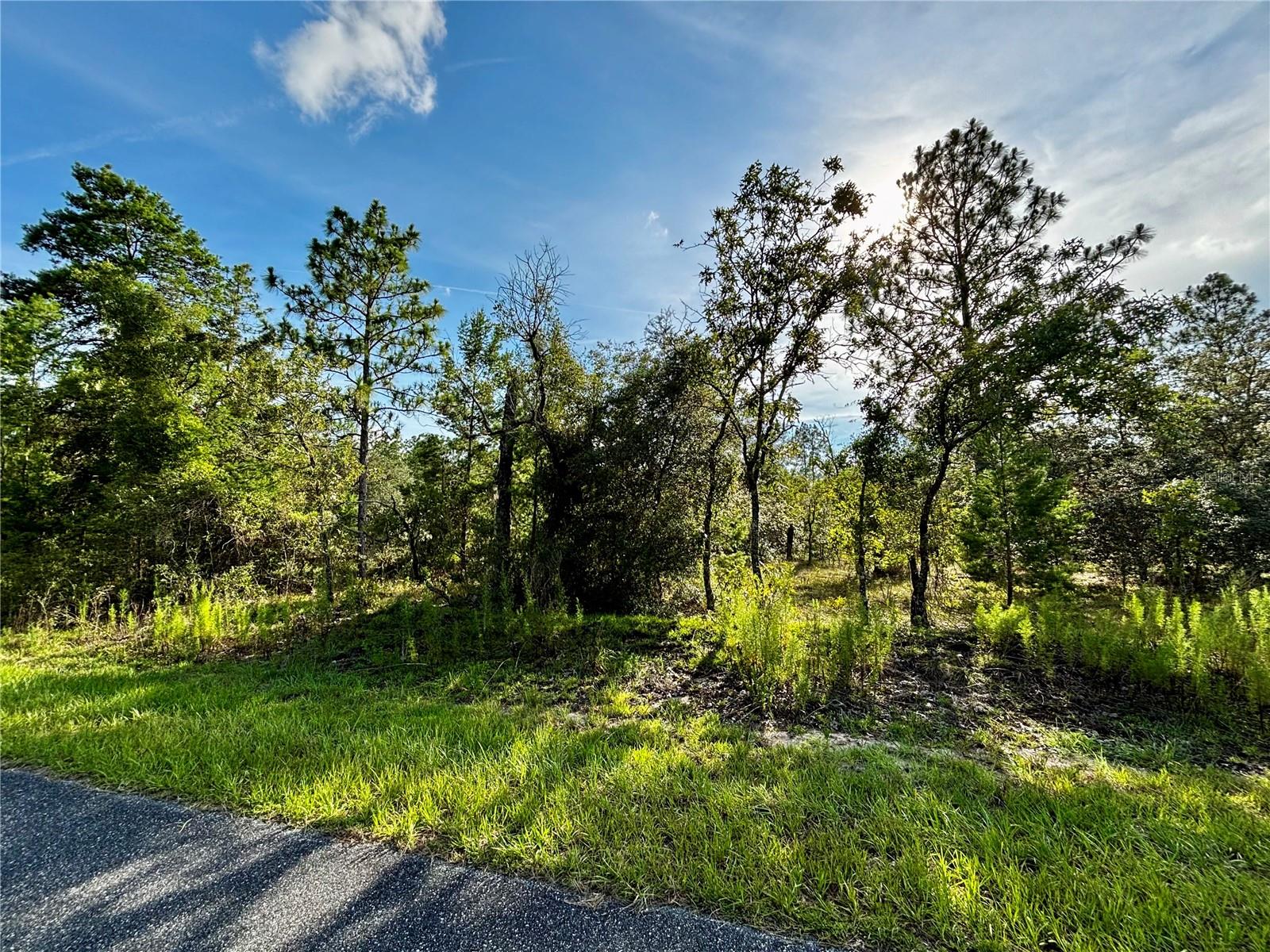 Rainbow Lakes Estates and the town of Dunnellon are the perfect place to escape this busy hustle bustle life and is the perfect place to call home. If you are looking for wide open space, you have all you want with Rainbow Lake Estates covering 10,476 acres. There is a private recreation facility with picnic area and a boat launch. There is also a youth center, fitness center and playground. Located at Sea Cliff Park there is basketball, tennis, racquetball and pickleball. Dunnellon is a charming, historical town know for its natural beauty and small town hospitality. It is also home the Rainbow Springs State Park where you can enjoy tubing, swimming, kayaking in its 1st magnitude spring fed waters. Dunnellon is just a short drive to Ocala and Gainesville, providing convenient access to larger city amenities while preserving its slower place of life. Make this property the place you want to build that perfect home.