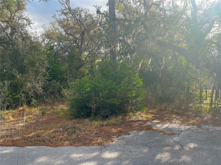 Seize the chance and opportunity to "Build it Your Way", in this peaceful community, mere minutes away from the scenic Moon Lake Park! This vacant high and dry property provides versatility, as it is zoned for both mobile/manufactured homes and single-family residences. Moon Lake Estates boasts a convenient location in proximity to schools, shopping centers, restaurants, beaches, SR 52, Suncoast Parkway, and just a short 30-minute drive from Tampa International Airport. Enjoy the recreational delights of Moon Lake Park, a sprawling 111-acre freshwater lake featuring a beach, kayaking, swimming, fishing, a boat ramp, picnic areas, grills, basketball courts, and a playground. With no HOA or CDD restrictions, this is your opportunity to tailor your living space to your preferences.