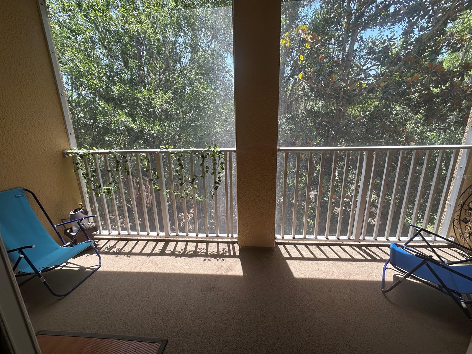 8809 WHITE SAGE LOOP