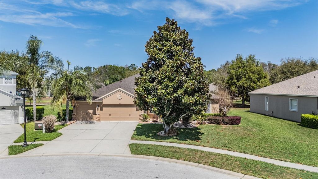 Photo of 19101 Lone Creek Court, Land O Lakes, FL 34638 (MLS # TB8486736)