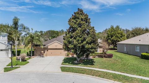 Photo of 19101 Lone Creek Court, Land O Lakes, FL 34638 (MLS # TB8486736)