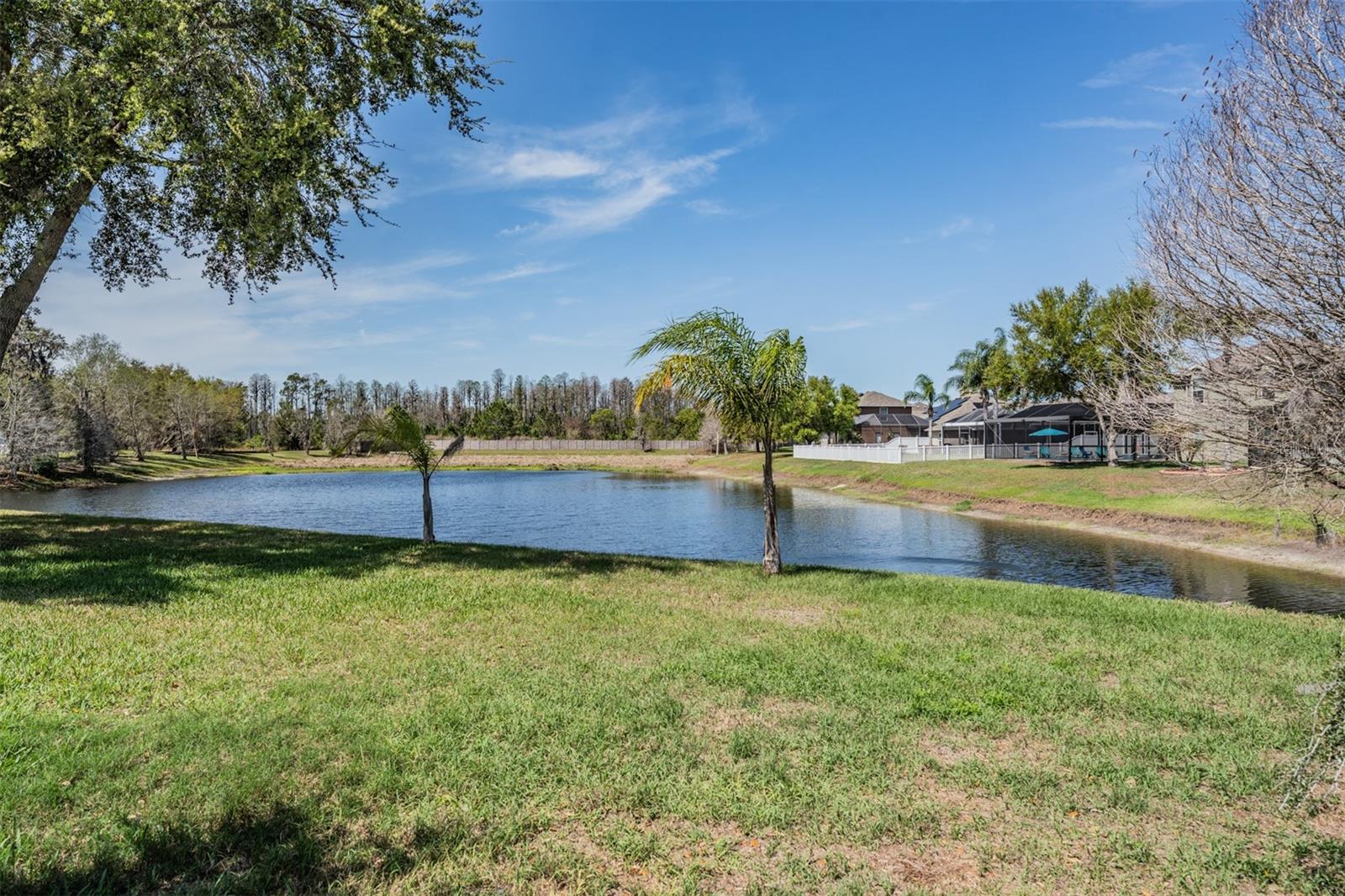LAKESHORE RANCH - Residential