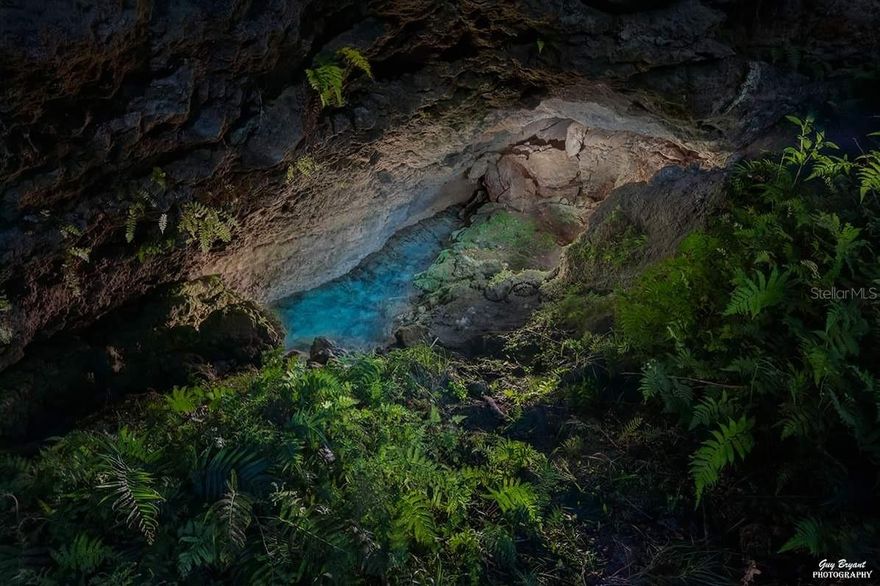 This gorgeous property is located near Devil's Den in Levy County which is a popular diving area.  Also close are equestrian communities such as Black Throng in Bronson Fl. The total 90 acres consist of 3 separate lots.  Lot 0398800100 is 10 acres; Lot 0398500100 is 22 acres; and Lot 0398500000 is 58 acres.  The seller is willing to divide 40 acres for a sales price of $1,000,000.00.  These 40 acres can be divided at buyers' option and the legal description would have to be obtained through a survey at BUYERS EXPENSE.  The 40 acres has a separate listing on MLS