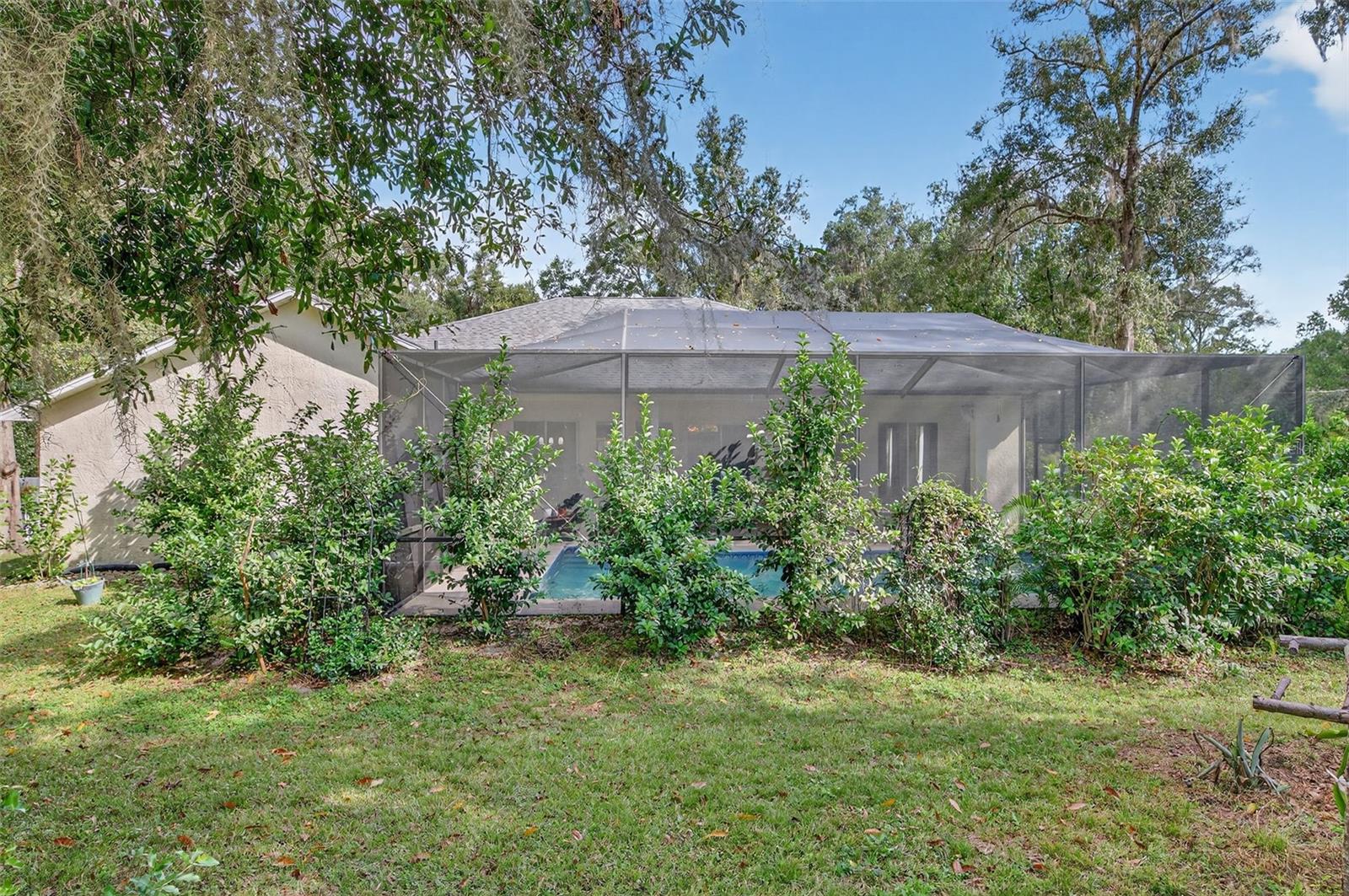 NOTTINGHAM FOREST - Residential