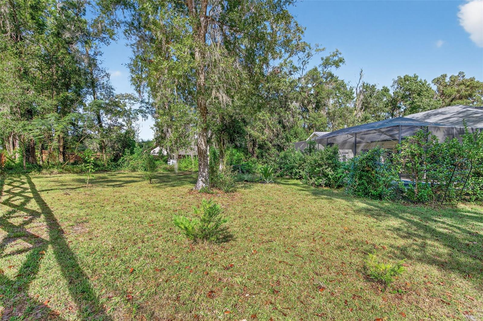 NOTTINGHAM FOREST - Residential