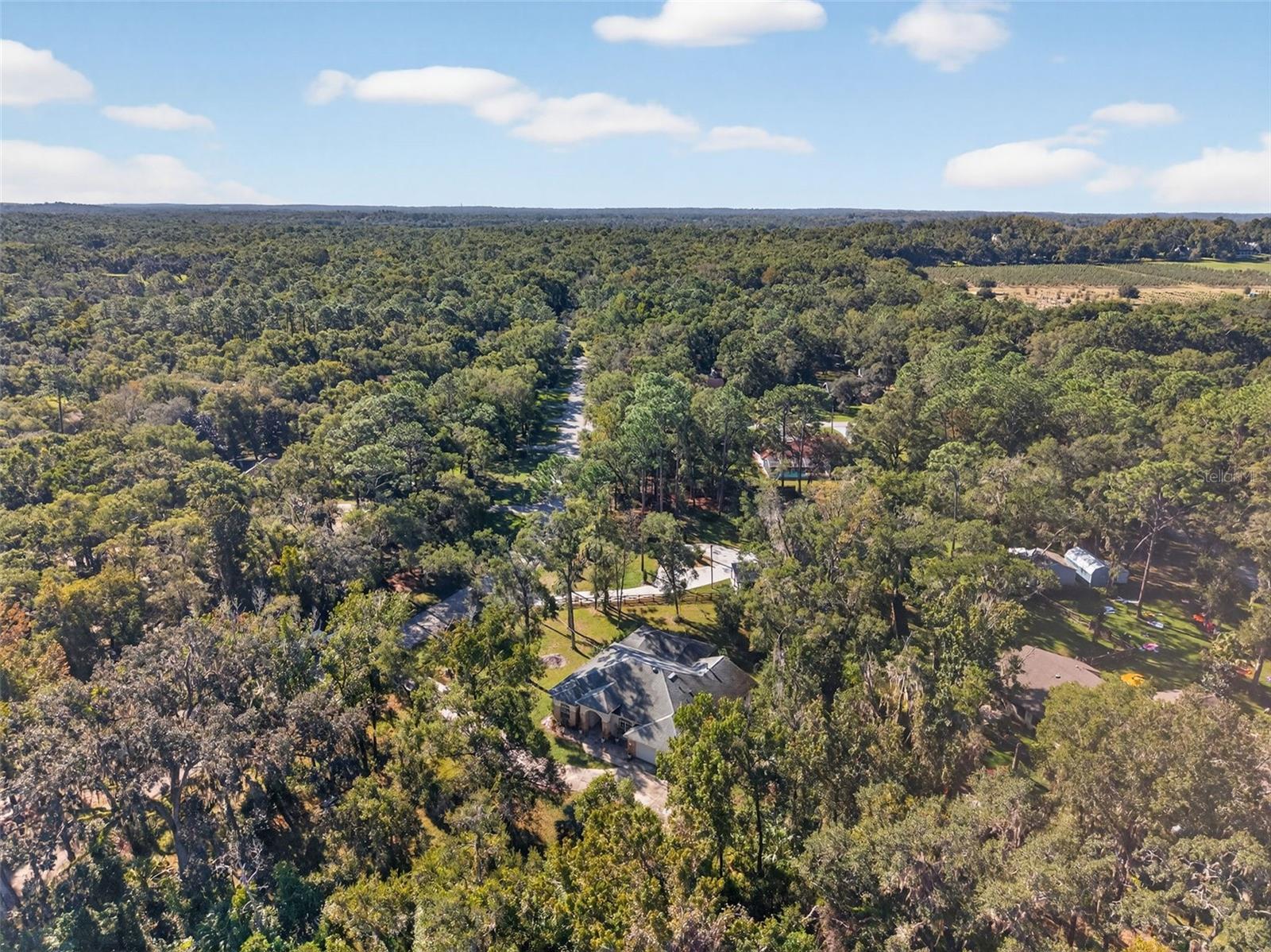 NOTTINGHAM FOREST - Residential