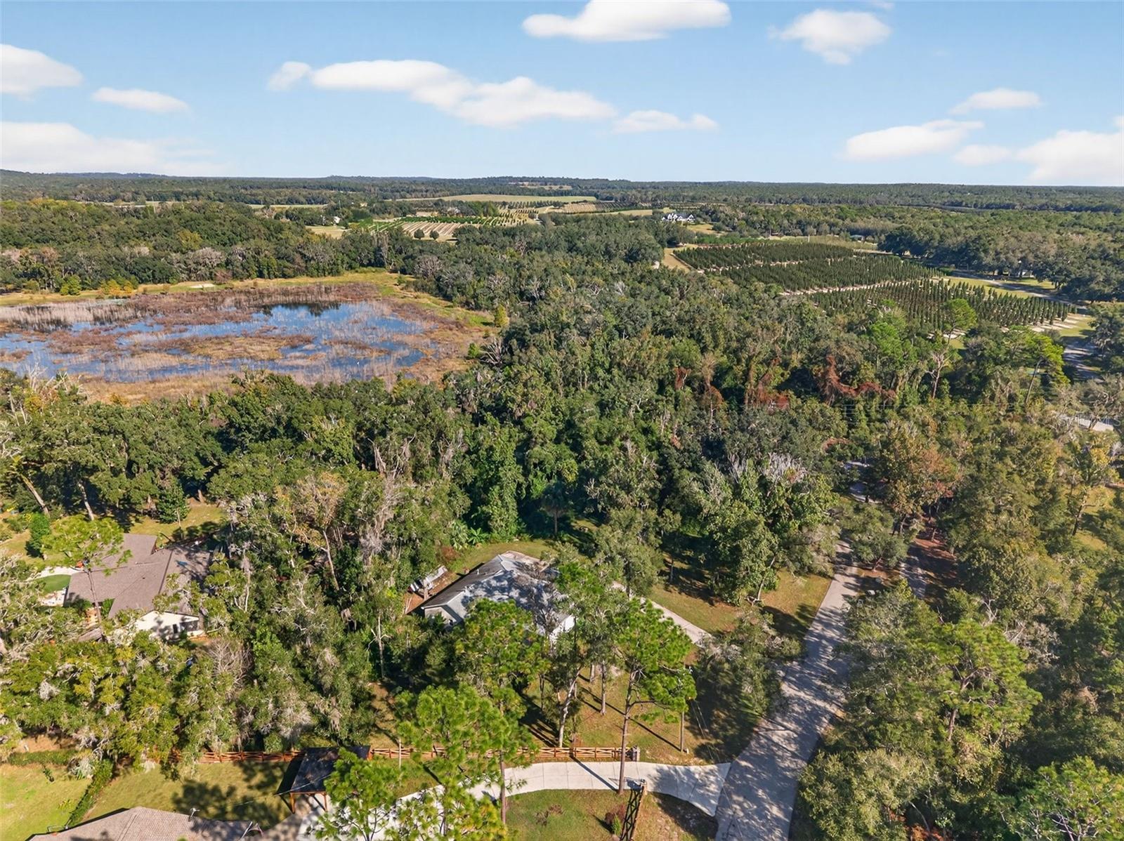 NOTTINGHAM FOREST - Residential