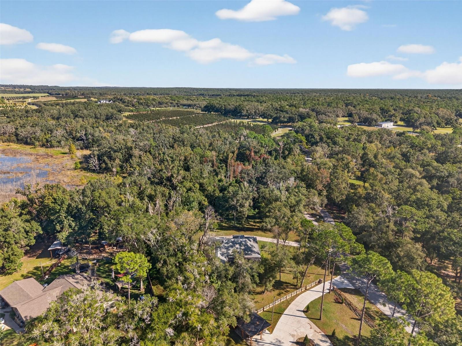 NOTTINGHAM FOREST - Residential