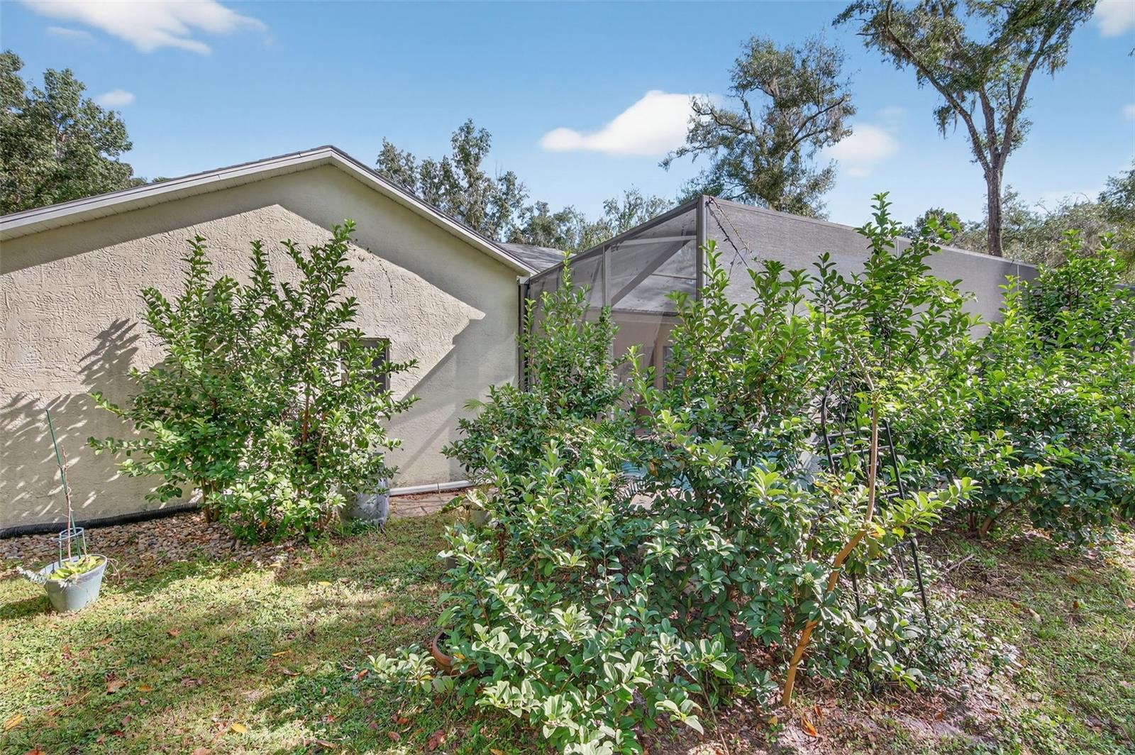 NOTTINGHAM FOREST - Residential