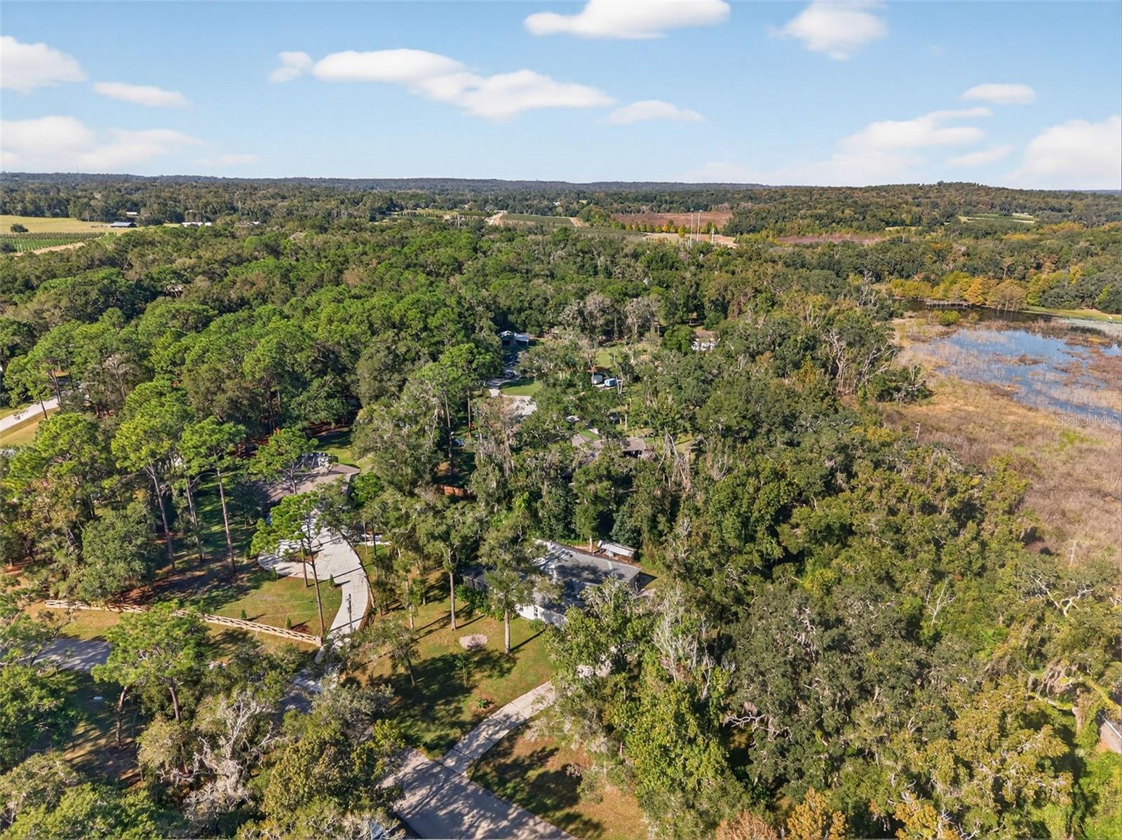 NOTTINGHAM FOREST - Residential