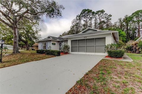 Photo of 4645 Tiburon Drive, New Port Richey, FL 34655 (MLS # TB8484344)