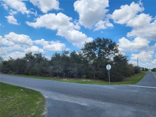 SW 110TH LN, OCALA, FL 34476 - Image b40fec52ffdf59ebc2ccc3fca28b96a3/3103365041
