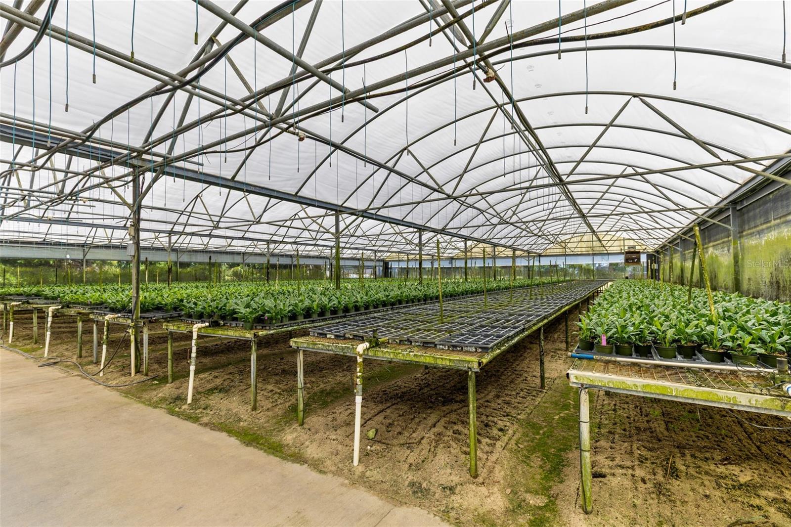 18021 E APSHAWA ROAD