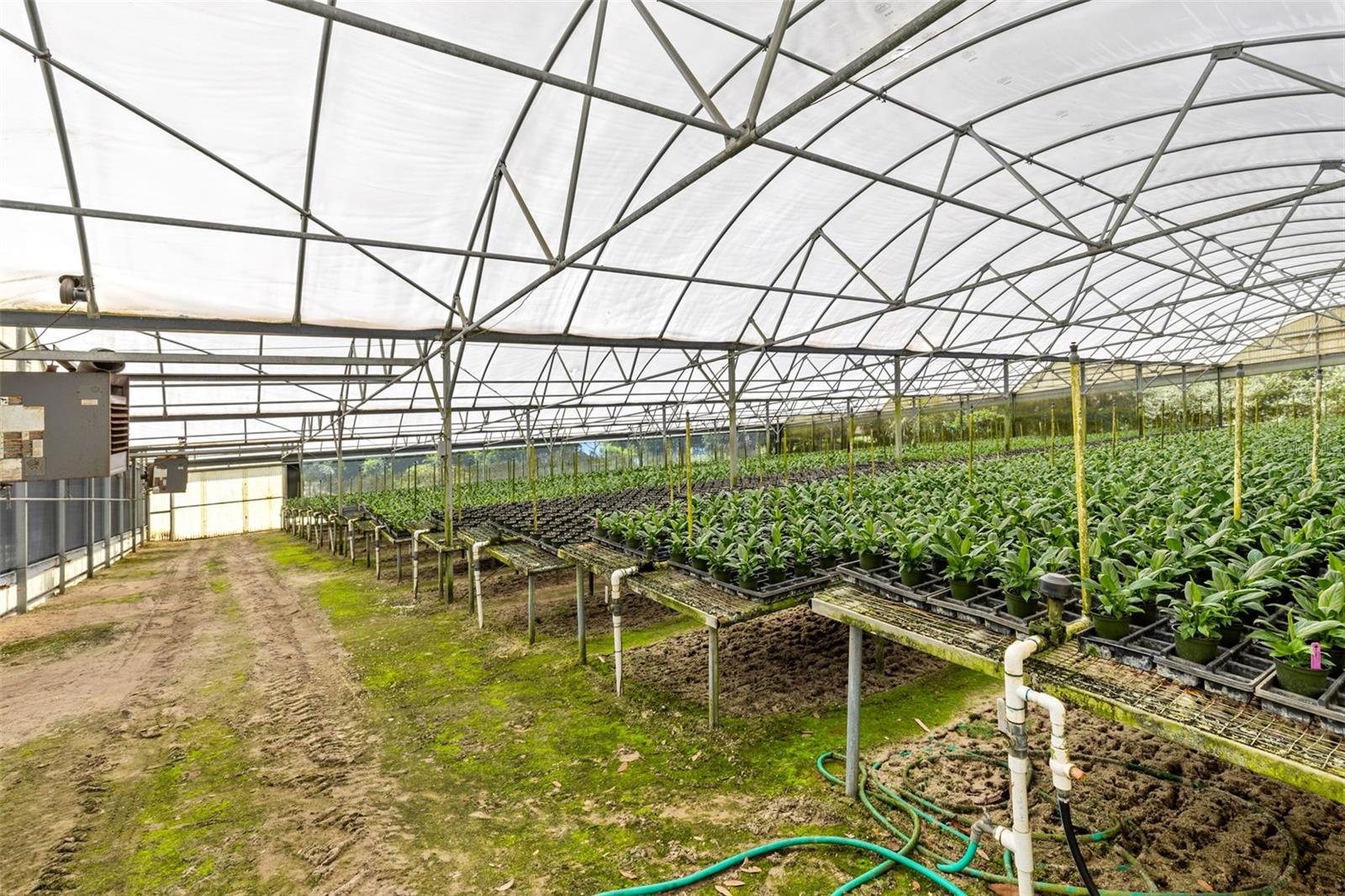 APSHAWA GROVES - Commercial Sale