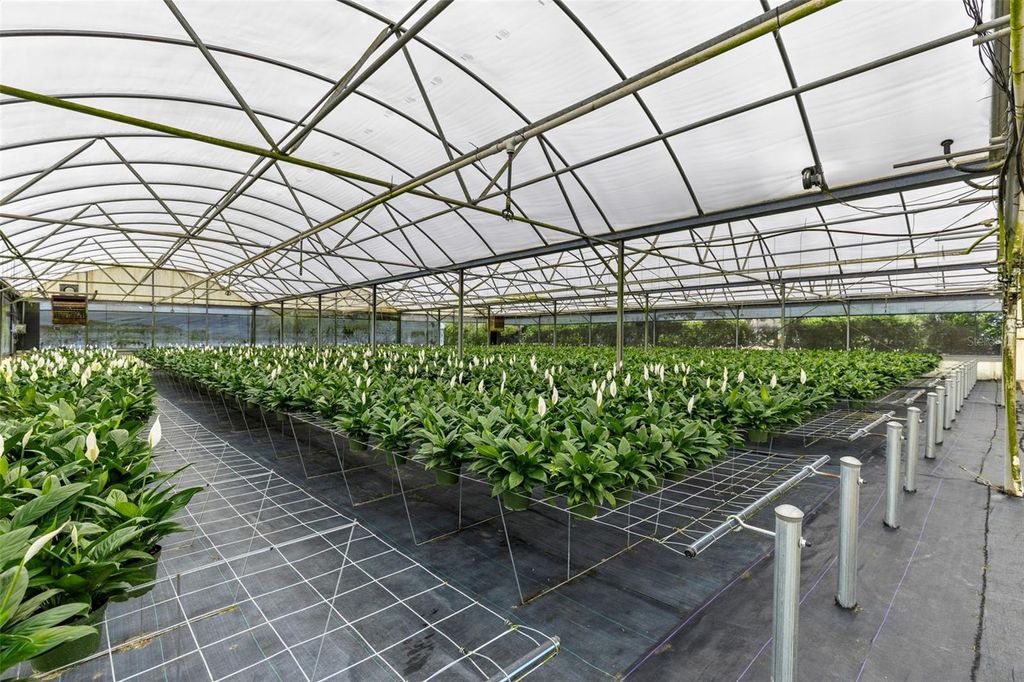 Photo of 18021 E Apshawa Road, Minneola, FL 34715 (MLS # O6401161)