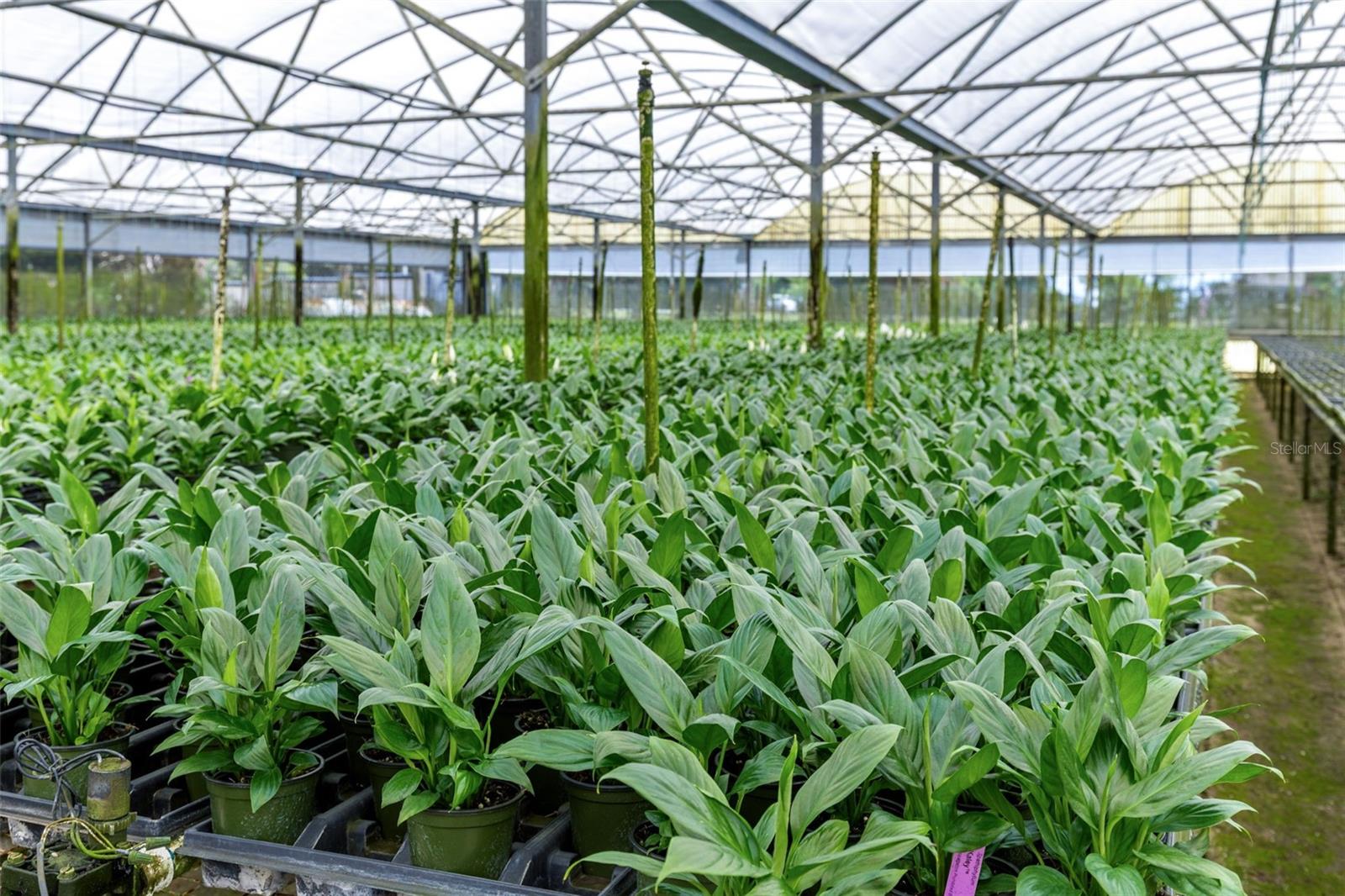 18021 E APSHAWA ROAD