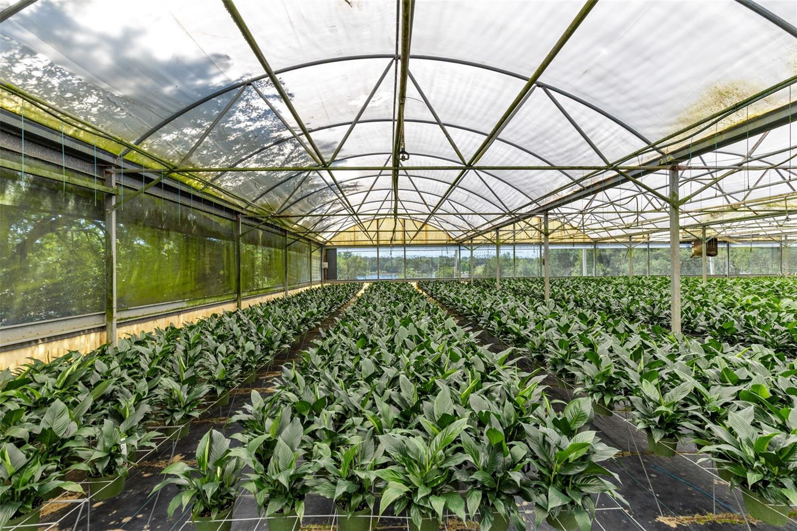 APSHAWA GROVES - Commercial Sale