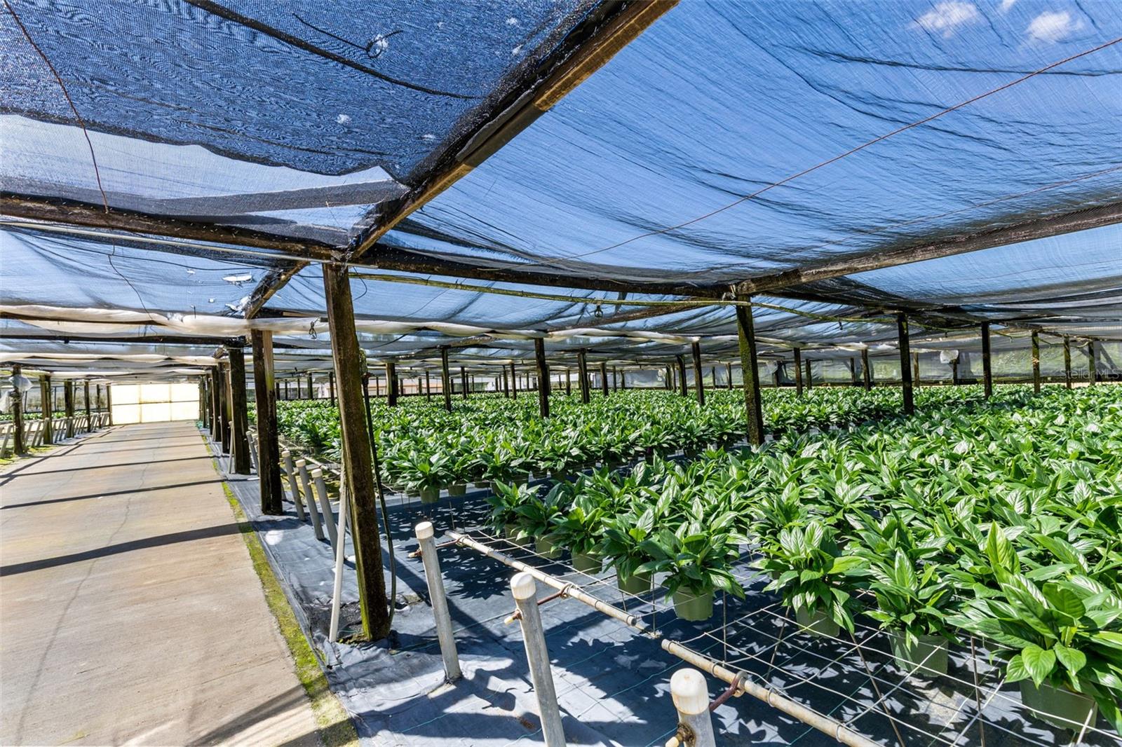 APSHAWA GROVES - Commercial Sale