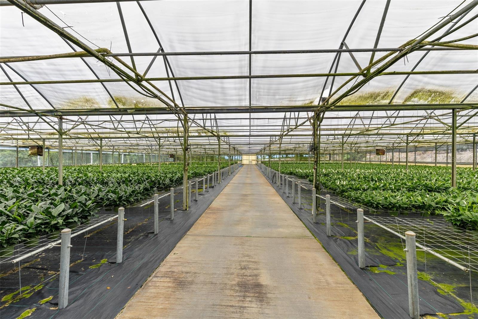 APSHAWA GROVES - Commercial Sale