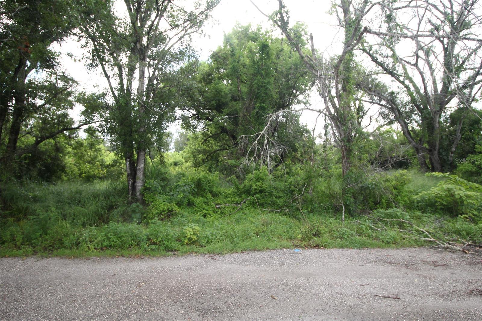 What a great lot to build your new home. Close to everything but feels like oyu a million miles from everything. Great private lot, not much traffic, and very private setting.