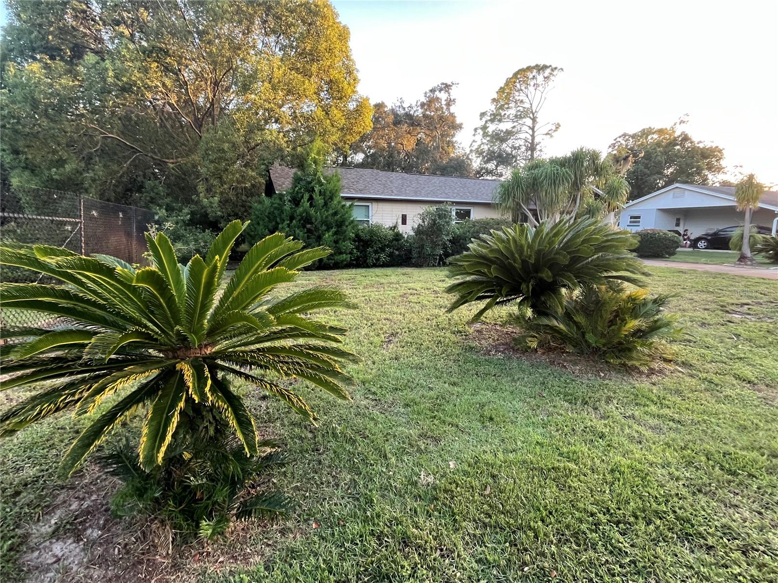PLANTATION ESTATES UNIT 25 - Residential