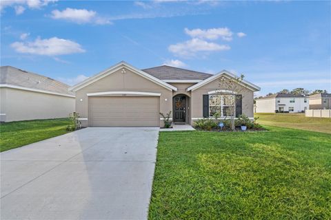 A home in BELLEVIEW