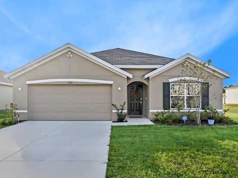 A home in BELLEVIEW