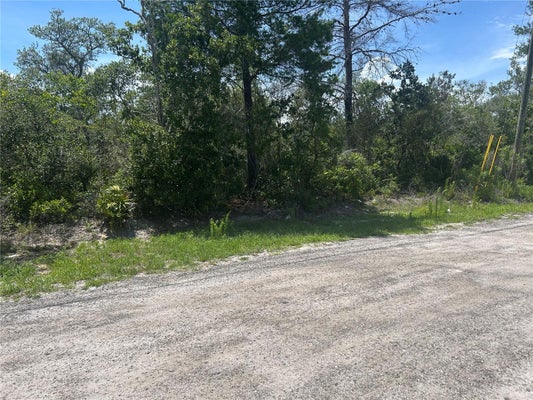WALDOR AVE, ORANGE CITY, FL 32763 - Image b414085d503b489c81cb4d8703c8d1be/3672011564