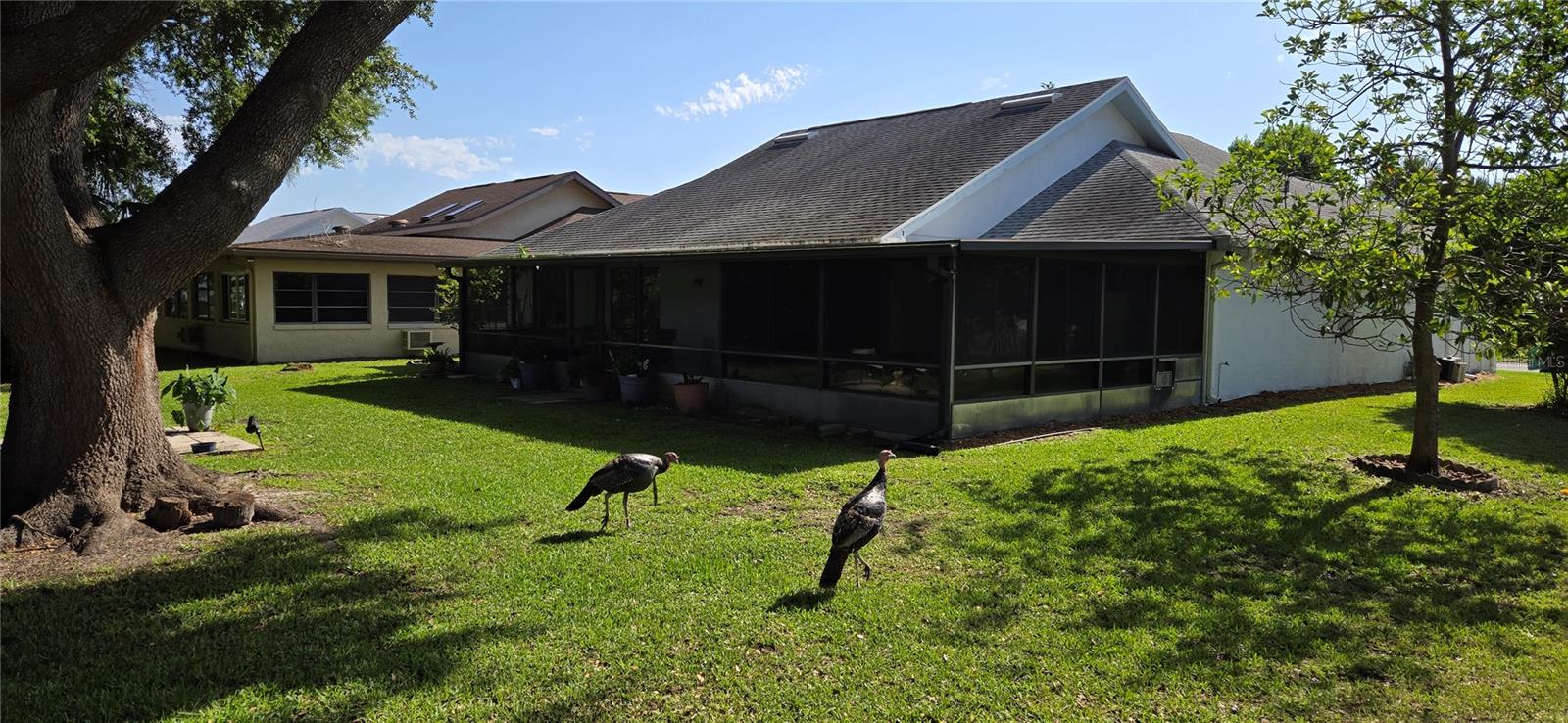 11818 SOPHIA LANE