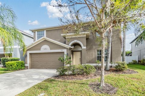 A home in LAND O LAKES