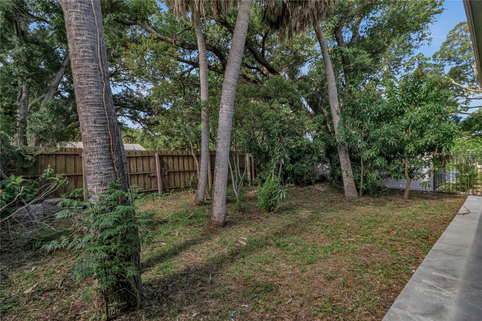 CARVER PARK - Residential