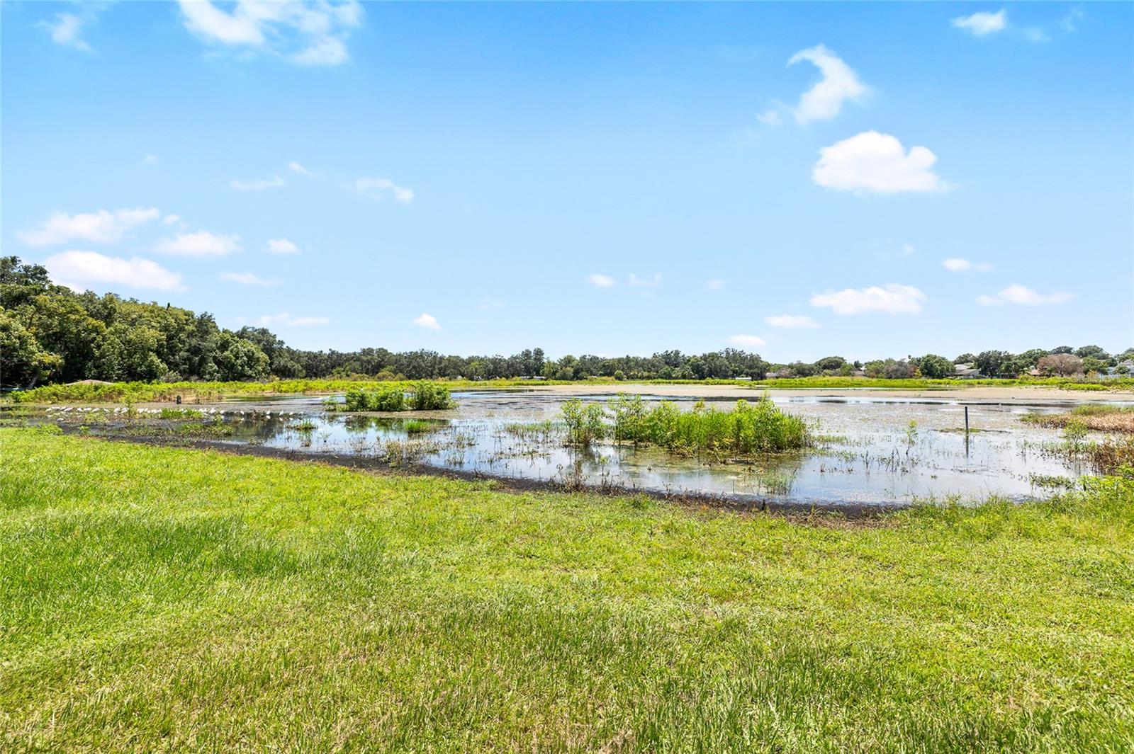 ZEPHYRHILLS COLONY CO - Land