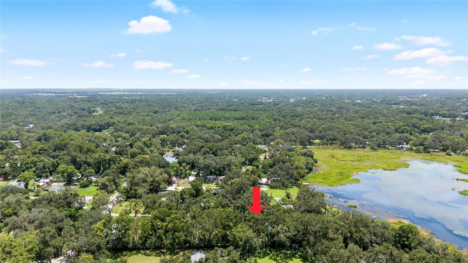 ZEPHYRHILLS COLONY CO - Land