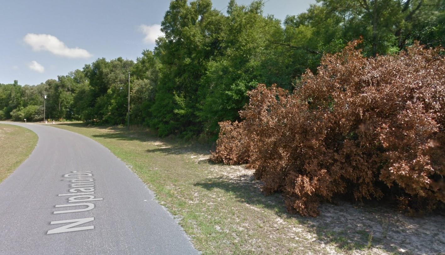 CITRUS SPGS UNIT 04 - Land