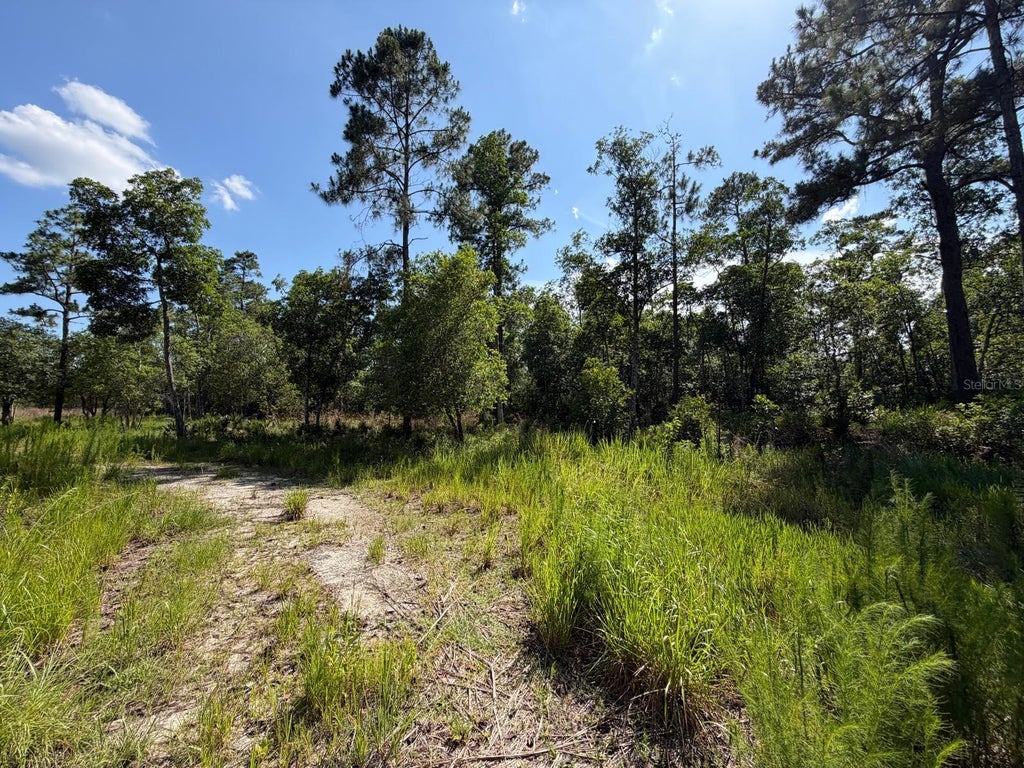 Photo of 1842 Sweetwater Bend, Deltona, FL 32738 (MLS # O6421252)