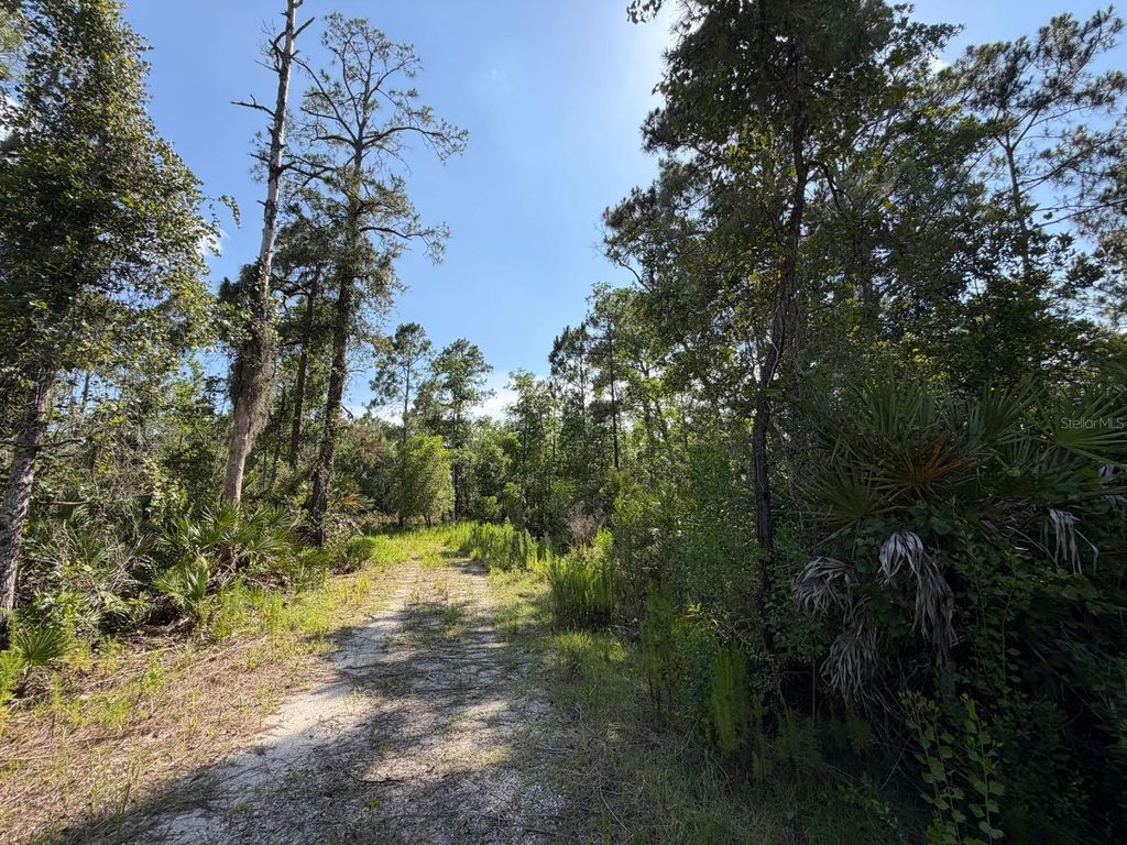 Photo of 1842 Sweetwater Bend, Deltona, FL 32738 (MLS # O6421252)
