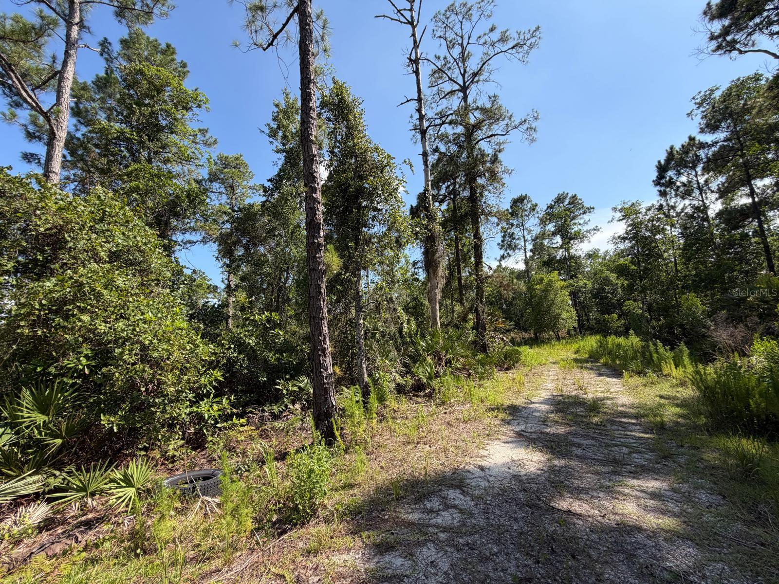 1842 SWEETWATER BEND