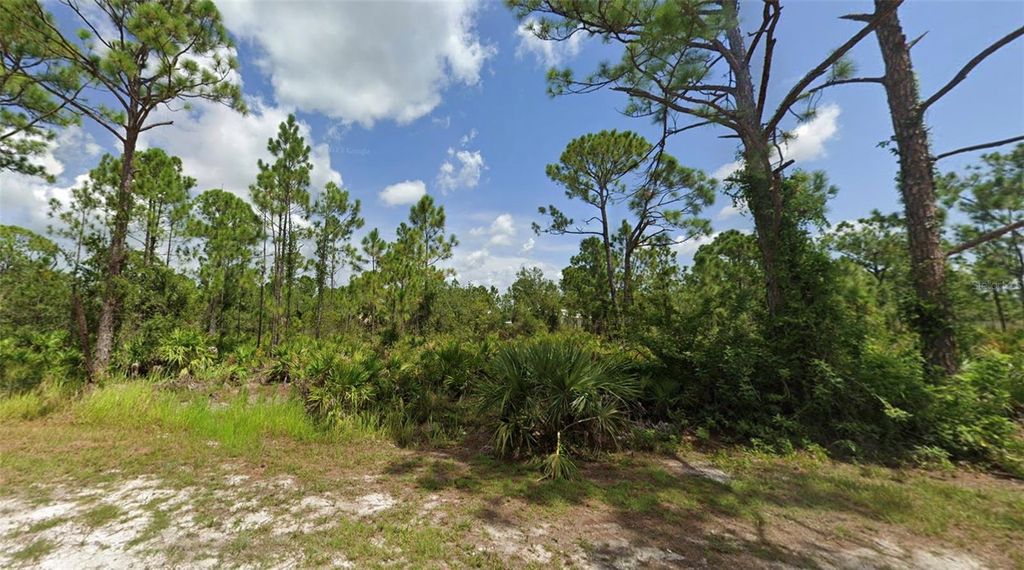 Photo of 27424 Nassau Drive, Punta Gorda, FL 33955 (MLS # O6334329)
