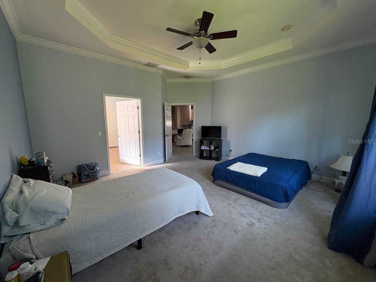 PALMA SOLA TRACE - Residential