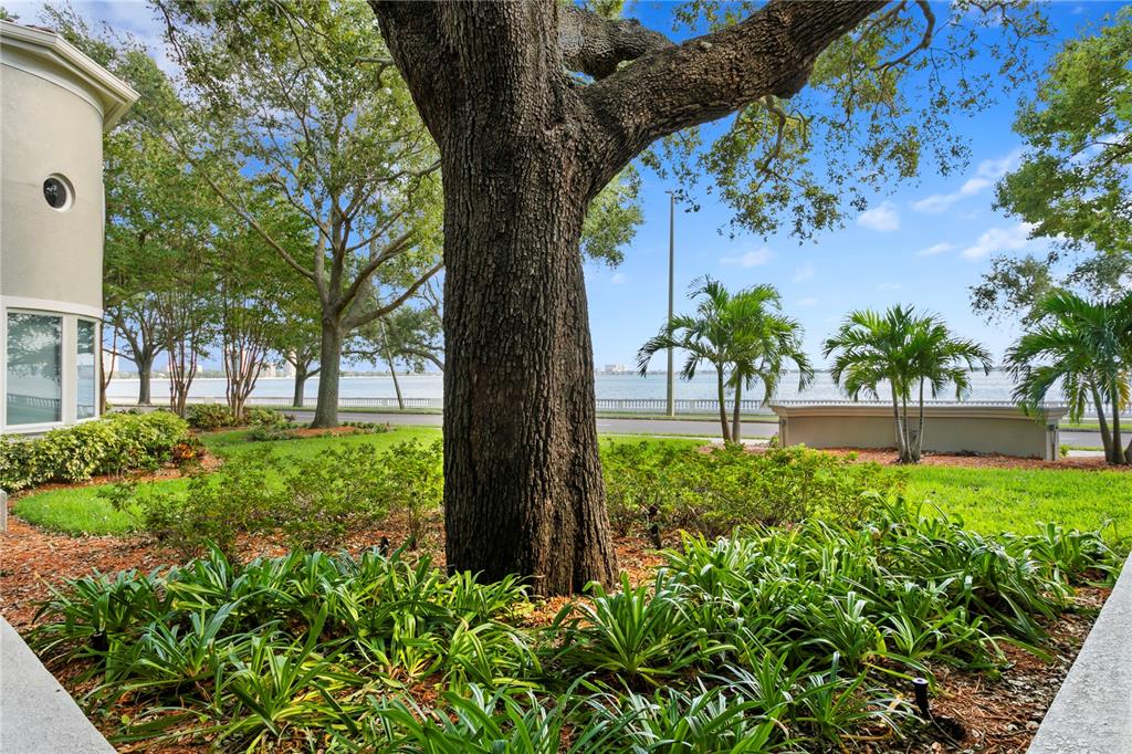 THE ALAGON ON BAYSHORE A CONDO - Residential