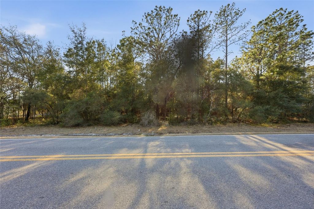 Photo of Gas Line Road, Keystone Heights, FL 32656 (MLS # A4681701)