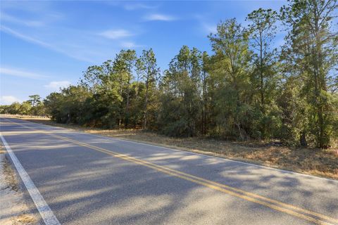 Photo of Gas Line Road, Keystone Heights, FL 32656 (MLS # A4681701)