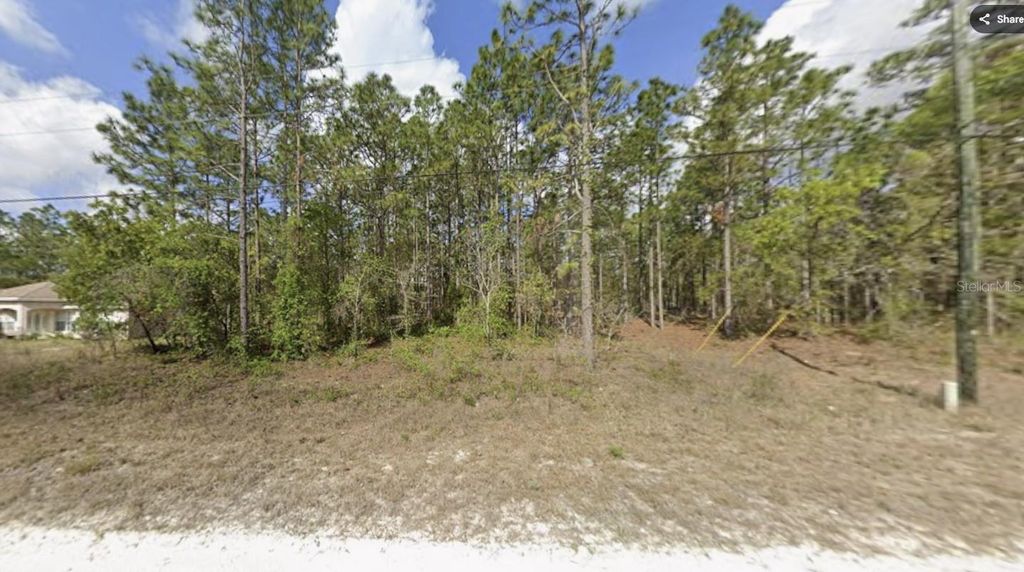 Photo of 15493 Penn State Road, Weeki Wachee, FL 34614 (MLS # TB8469357)