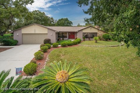 A home in SPRING HILL