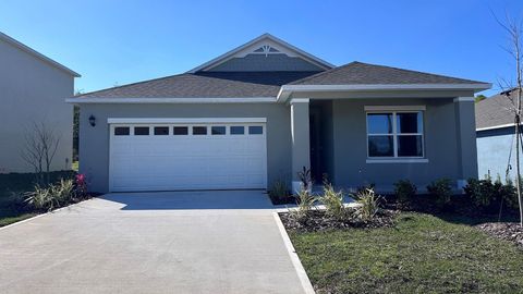 A home in MOUNT DORA