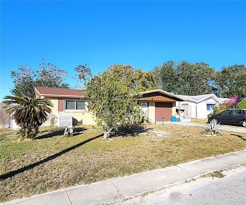 A home in PORT RICHEY